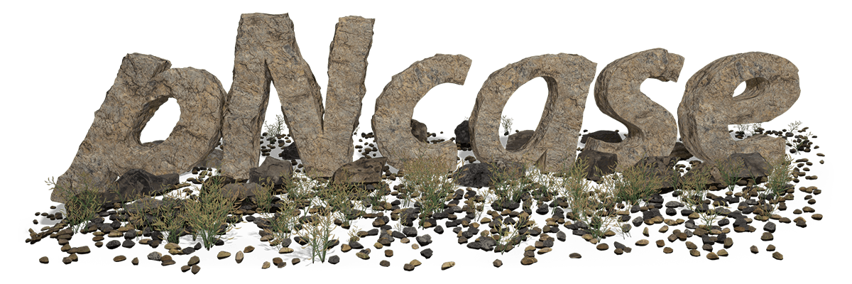 _images/pncase_logo_s.png